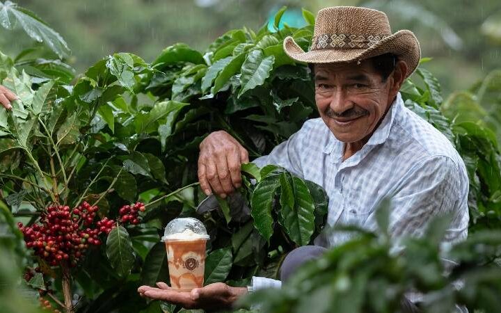 Caficultor colombiano recolectando granos maduros de café en una finca de montaña durante la cosecha.